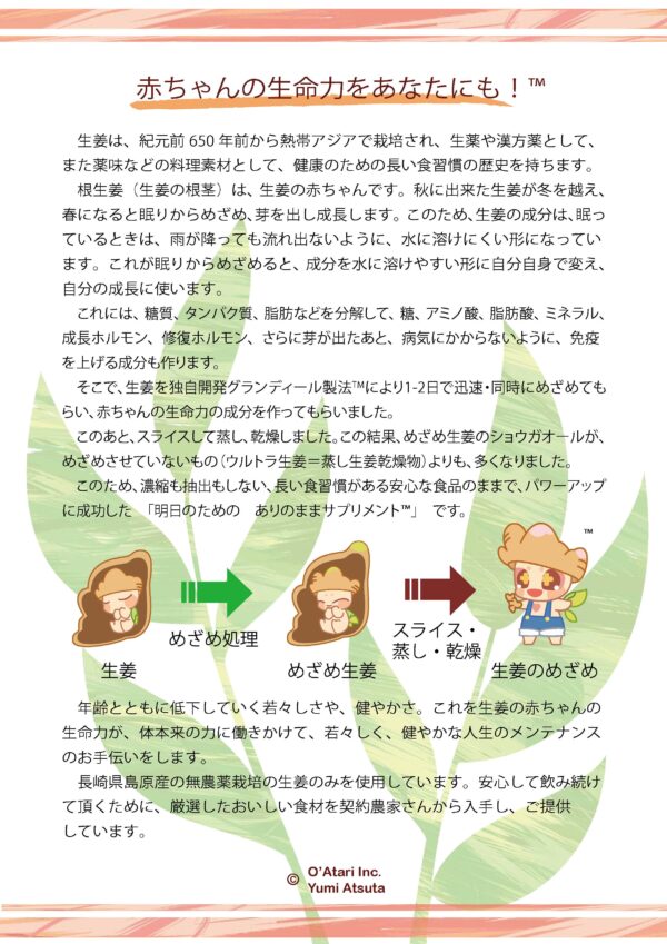 フレンチガーリックのめざめ™ Premium - 画像 (5)