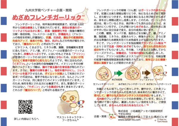 めざめフレンチガーリック™　3個入り瓶付き - 画像 (6)